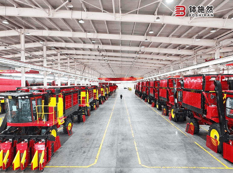 Social Responsibility