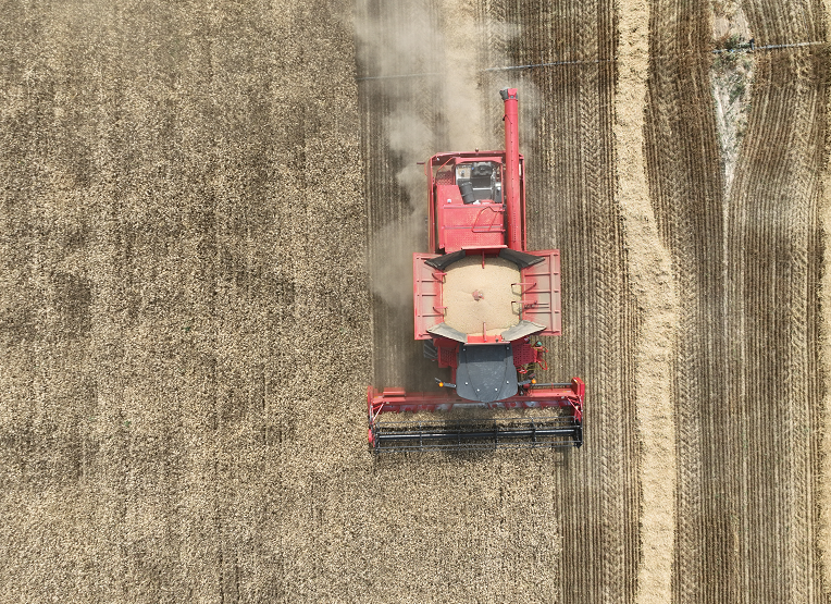 Boshiran 7850 Grain Harvester Shines at Balikun Demonstration